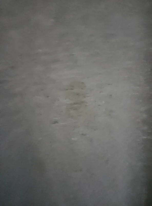 T-shirt Vintage Aquinas Volley-Ball (Fin 90s)